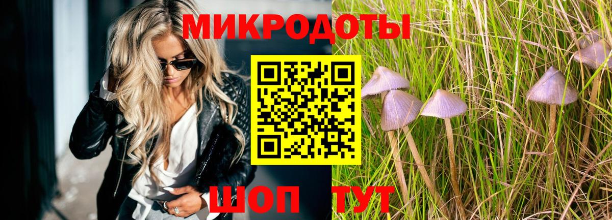Асино  Галлюциногенные грибы Psilocybe  Вход с VPN 